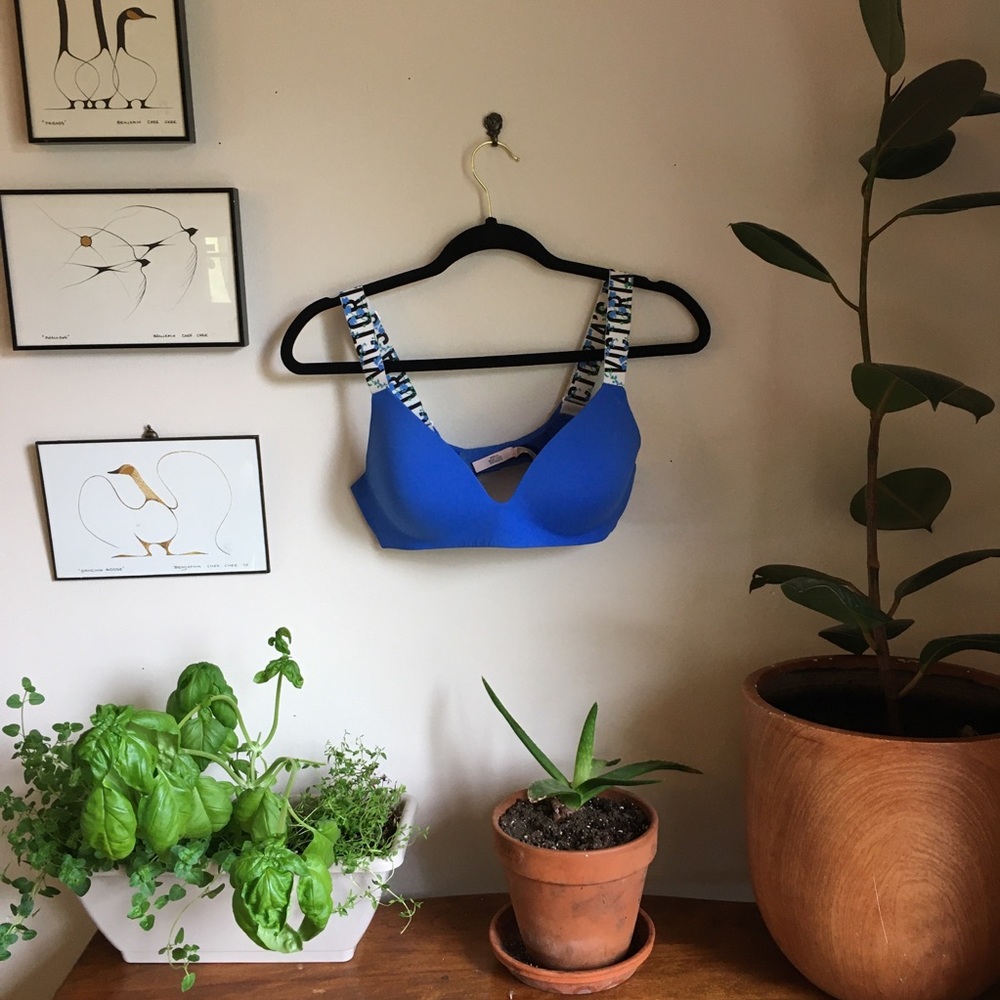 Victoria’s Secret Push up Bra